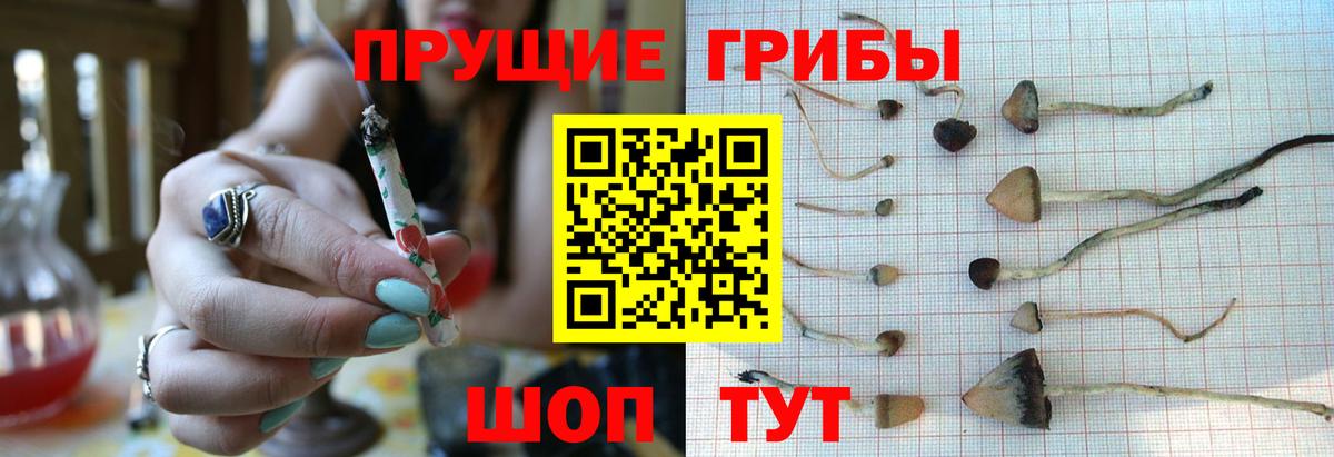 Псилоцибиновые грибы Magic Shrooms  Вход с VPN  Псилоцибиновые грибы ЛСД  Новороссийск 