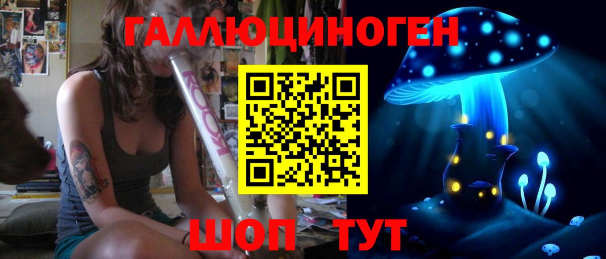 Псилоцибиновые грибы мицелий Новороссийск